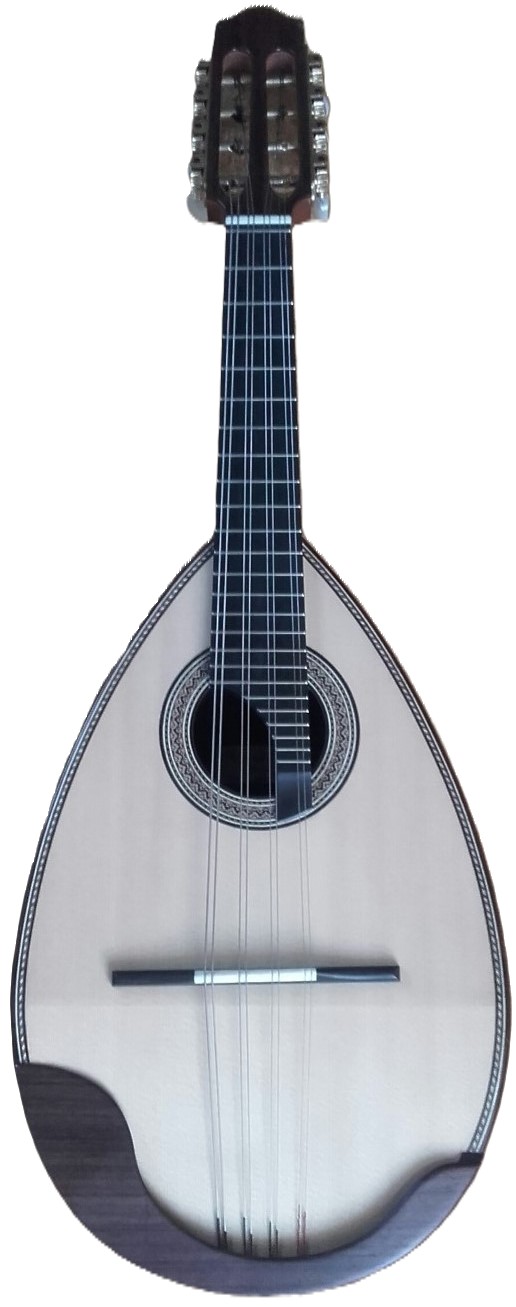 Instrument des Jahres 2023 Die Mandoline; Mandoline und